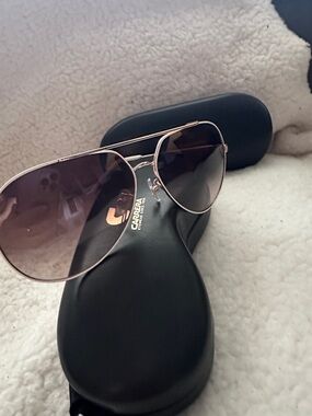 Carrera Sunglasses with Rose Gold Temples and Black Case Logo